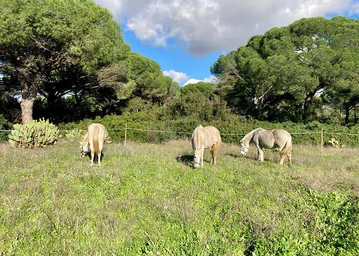 Dehesa De Yeguas Casa En Privada Con Piscina Y Playa Βίλα