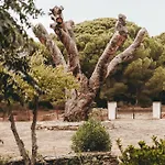 Villa Dehesa De Yeguas Casa En Privada Con Piscina Y Playa