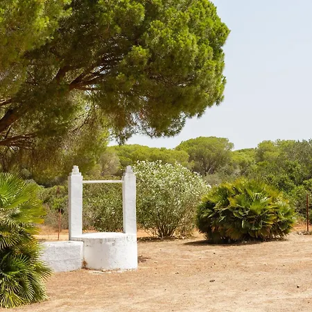ヴィラ Dehesa De Yeguas Casa En Privada Con Piscina Y Playa