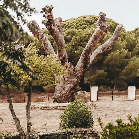 ヴィラ Dehesa De Yeguas Casa En Privada Con Piscina Y Playa