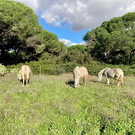 Dehesa De Yeguas Casa En Privada Con Piscina Y Playa Villa