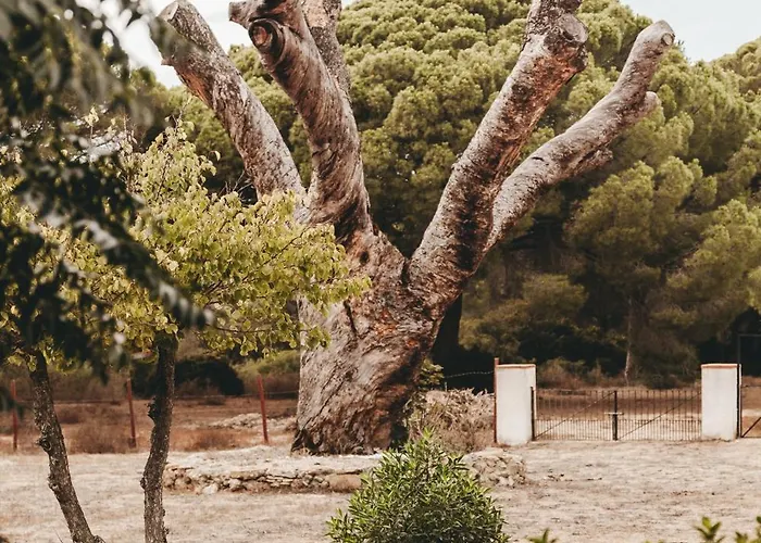 Willa Dehesa De Yeguas Casa En Privada Con Piscina Y Playa