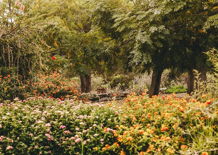 Dehesa De Yeguas Casa En Privada Con Piscina Y Playa Willa Kadyks